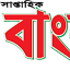 weeklybangladeshusa.com