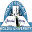 wldu.edu.et