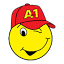 a1plumbingandac.com