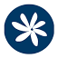 airtahitinui.pf