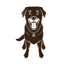 barkpouch.com