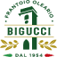 bigucci.com