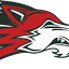 collegiateacademy.net