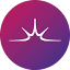 evenium.site