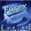 maxforexinvest.ru