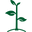 parkseed.com
