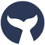 physter.com