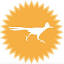 roadrunnerexpeditions.com