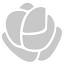 silverrose.com.au