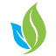 squava.com