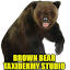 brownbeartaxidermy.com