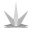 coasttocoastmedicinals.com