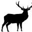 luscooutdoors.com