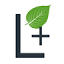 lyveli.com