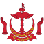 moh.gov.bn