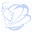 nippynetworks.com