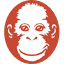 orangutan.de