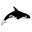 orca-diveclub-rosenheim.com