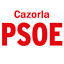 psoecazorla.com