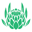 rehabhelper.co.za