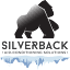 silverbackaircon.sg
