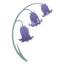 bluebellyarns.co.uk