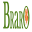 braroindustries.com