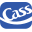 cassinfo.com