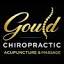 drgouldchiropractic.com