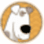 gavpet.com