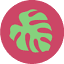 hawaiitravelspot.com