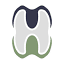 heravi-dental.ir