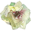 lovenfreshflowers.com