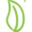 nikapharm.uz