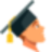 studentik.online