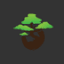 swiat-bonsai.pl
