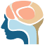 theanatomyshop.com