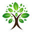 veneeronline.com