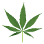 weedsgg.ca