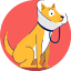 030dierenartsen.nl