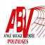 abvpouzauges.fr