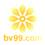 bv993.com