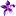 calytrix.biz