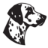 coachmenrv.com