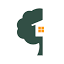 les-cabanes-dans-les-arbres.com