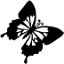 shortyapparel.com