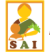 thesocialassistance.org