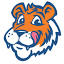 tigertowntogo.com