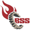 baransanatsepahan.com