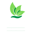 barenboim.ca
